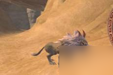 《创造与魔法》哪个宠物更强 宠物排行攻略