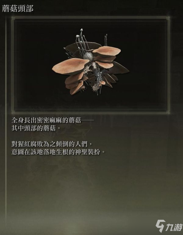 《艾尔登法环》各防具特殊效果说明