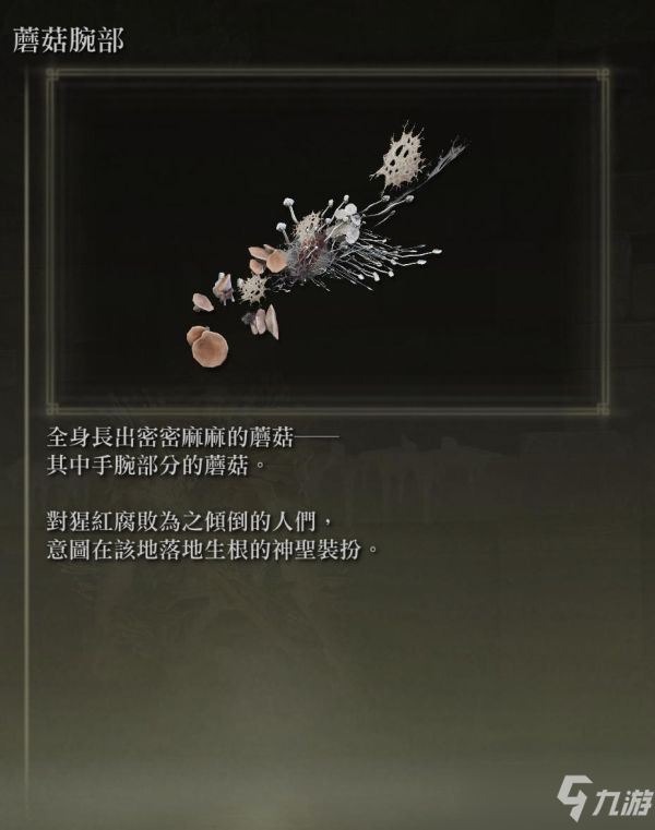 《艾尔登法环》各防具特殊效果说明