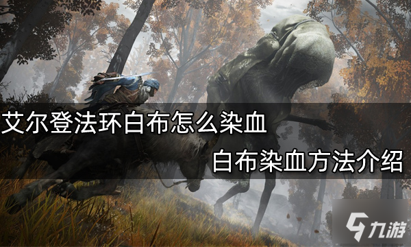 《艾尔登法环》白布染血攻略大全 白布如何染血