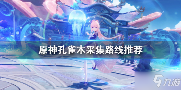 《原神》孔雀木哪里最多