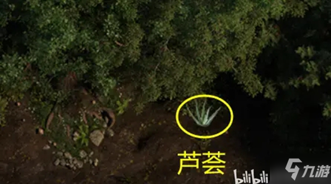 创世秩序V21041流程攻略 全重要物品获取位置