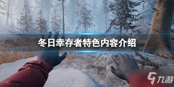 《冬日幸存者》怎么样