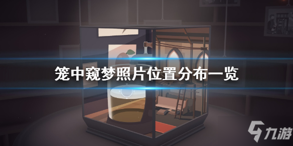 《笼中窥梦》照片位置在哪里找