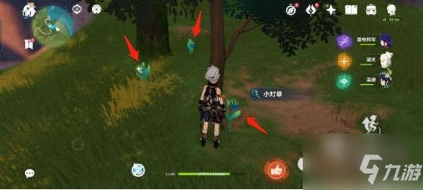原神四张蒙德区域特产任务攻略 蒙德特产拍照位置分享