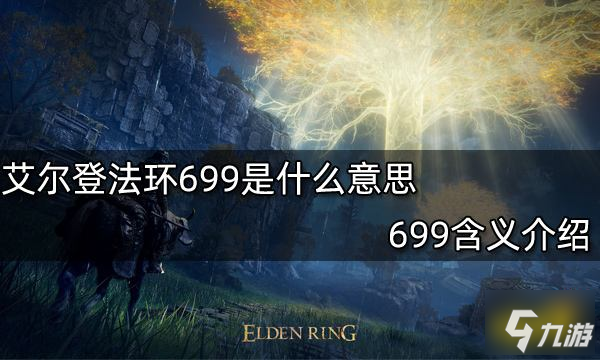 艾爾登法環(huán)699是什么意思 699含義介紹