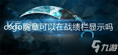 csgo胸章怎么显示 可以在战绩栏显示吗