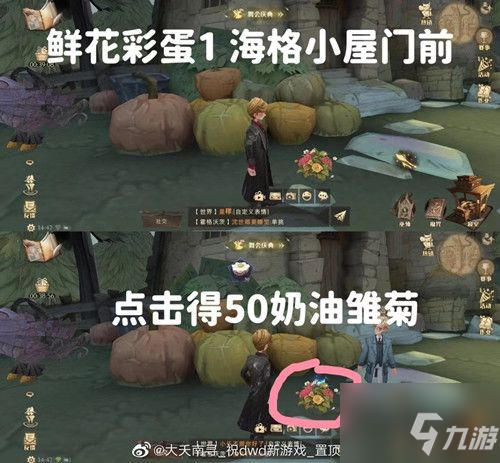 《哈利波特魔法觉醒》鲜花彩蛋位置分享