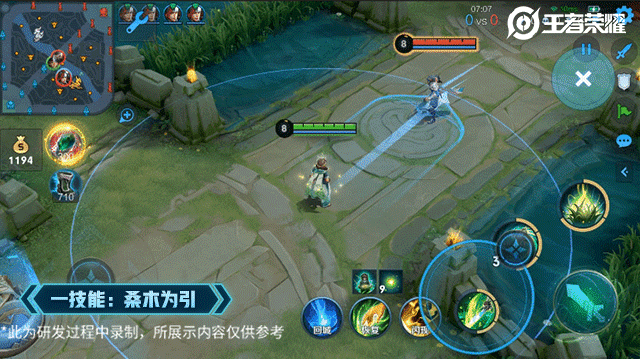 《王者荣耀》桑启职业一览 桑启是什么职业