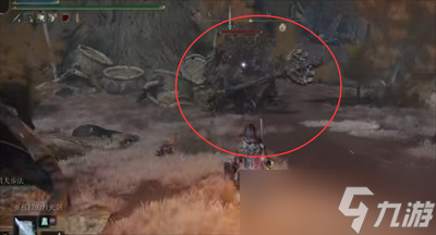 《艾尔登法环》岩刺破露滴位置一览