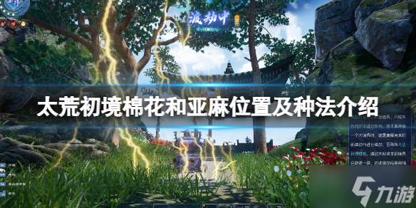 《太荒初境》亚麻在哪里