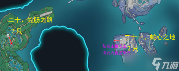 原神骗骗花采集路线图