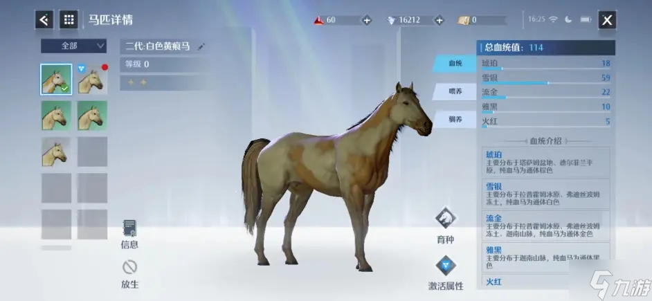 诺亚之心养马有什么技巧 诺亚之心养马技巧分享
