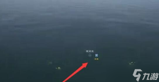 《太荒初境》紫灵花采集方法介绍