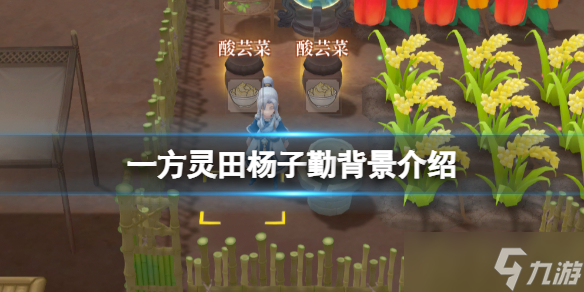 《一方灵田》杨子勤怎么样？杨子勤背景介绍