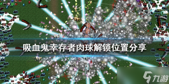 《吸血鬼幸存者》肉球解锁位置分享 肉球好用吗 