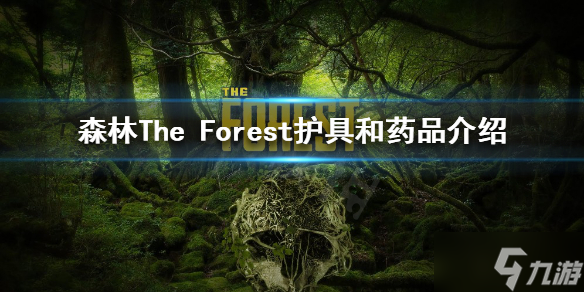 《森林》有哪些护具和药品