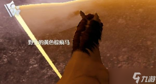 《诺亚之心》抓马选马技巧分享