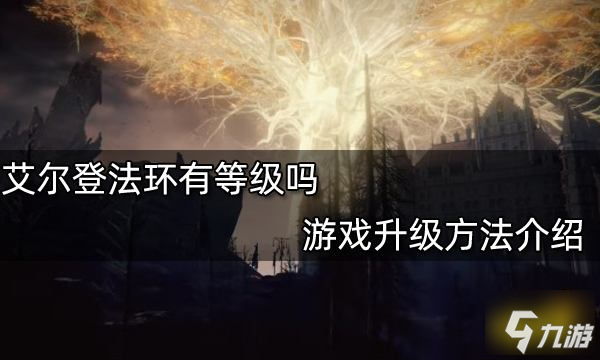 艾尔登法环有等级吗 游戏升级方法介绍
