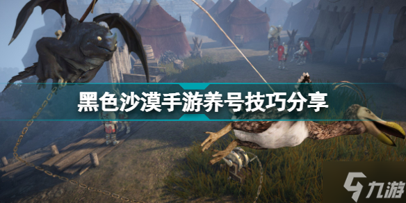 黑色沙漠手游小号怎么养大号 黑色沙漠手游养号技巧分享