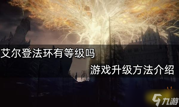 《艾尔登法环》有等级吗？游戏升级方法