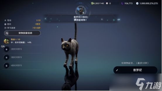 《黑色沙漠手游》黑色瘦猫任务怎么做？