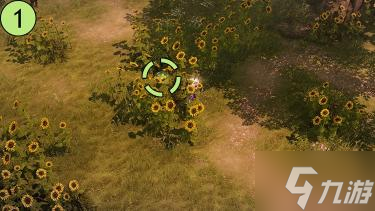 失落的方舟向日葵島Sunflower Island島嶼任務(wù)攻略