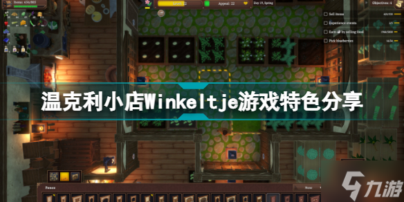 温克利小店好玩吗 温克利小店Winkeltje游戏特色分享截图