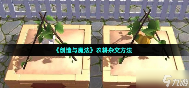 《创造与魔法》农耕杂交方法