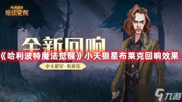 《<a id='link_pop' class='keyword-tag' href='https://www.9game.cn/hlbt/'>哈利波特魔法觉醒</a>》小天狼星布莱克回响效果