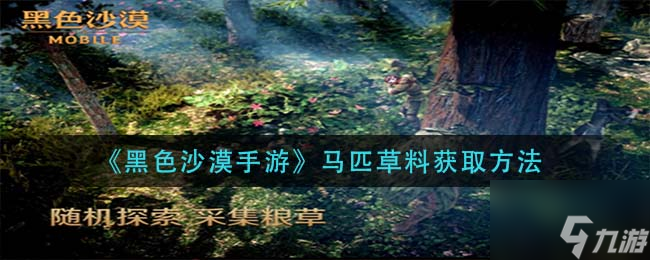 黑色沙漠手游怎么获得马匹草料 马匹草料获取方法