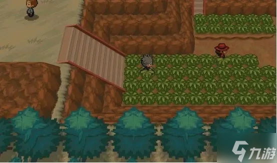 Pokemmo全准神捕捉攻略 准神捕捉位置一览