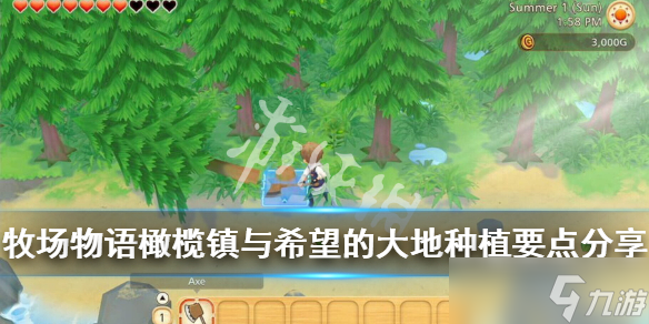 《牧場物語橄欖鎮(zhèn)與希望的大地》種植作物要注意什么？種植要點(diǎn)分享