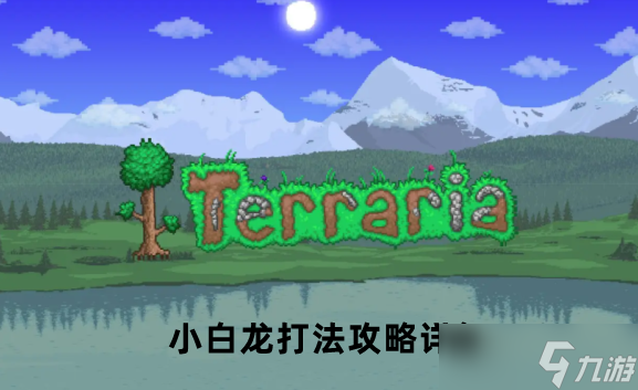 泰拉瑞亚小白龙打法攻略详解