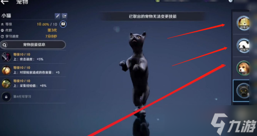 黑色沙漠手游怎么切换宠物