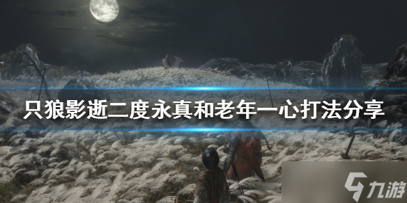 《只狼影逝二度》永真和老年一心怎么打？永真和老年一心打法分享