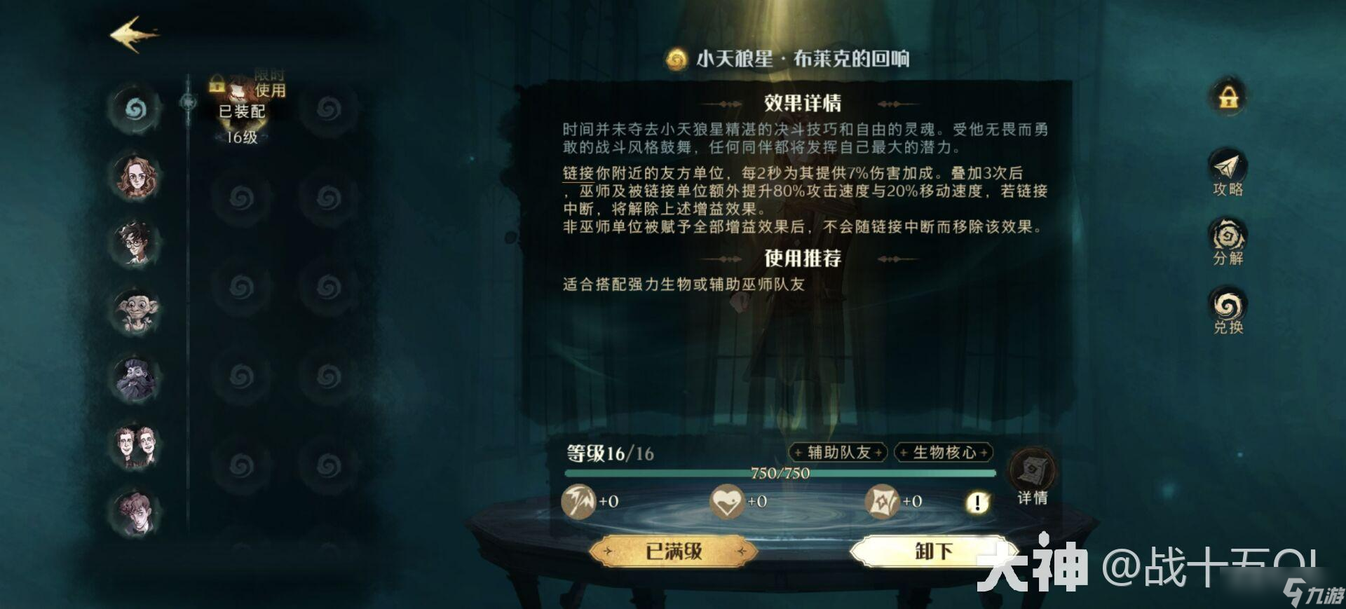 哈利波特魔法觉醒小天狼星回响卡组搭配攻略，回响机制利用与对局技巧详解[多图]