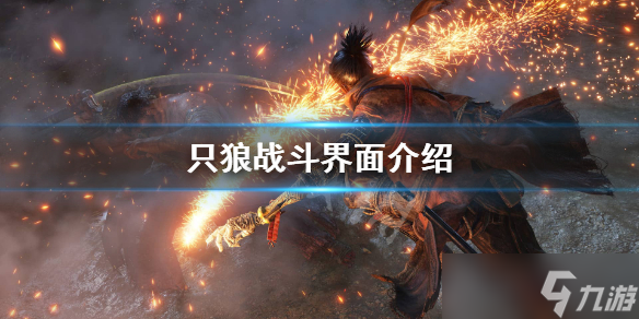 《只狼影逝二度》怎么看躯干值？战斗界面介绍