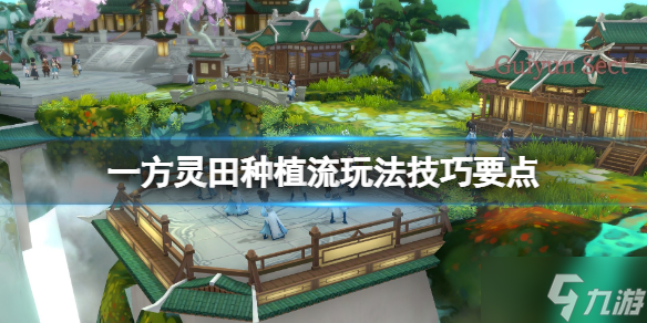 《一方灵田》种什么比较好
