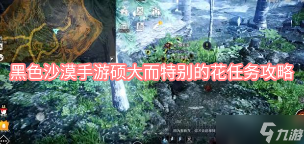 黑色沙漠手游硕大而特别的花任务攻略