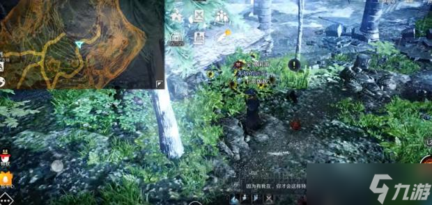 黑色沙漠手游硕大而特别的花任务攻略