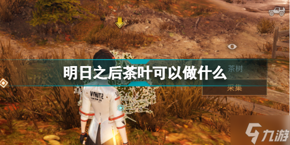 明日之后茶叶食谱 明日之后茶叶可以做什么