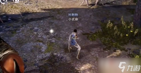 《黑色沙漠手游》宠物鹰获取方式