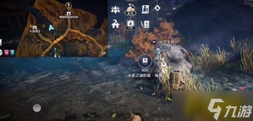 黑色沙漠手游卡亞之湖的魚任務怎么做-卡亞之湖的魚任務攻略