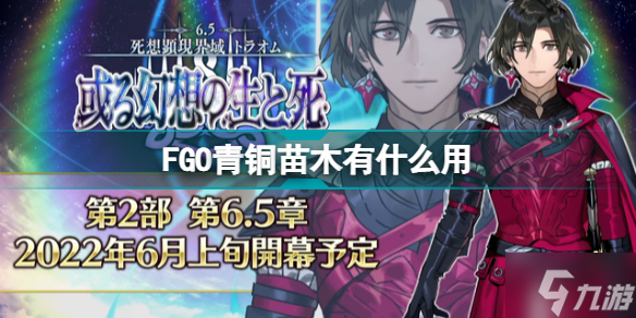 FGO青铜苗木有什么用 2500万DL新增道具青铜苗木功能介绍