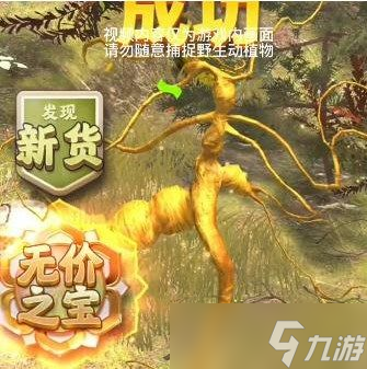 夺笋高手无价之宝极光金珠怎么获得？