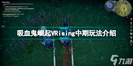 VRising中期怎么玩 吸血鬼崛起VRising中期玩法介绍