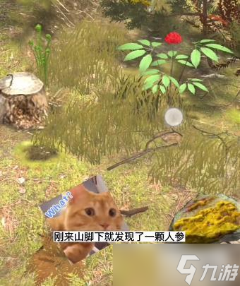 夺笋高手无价之宝获取攻略