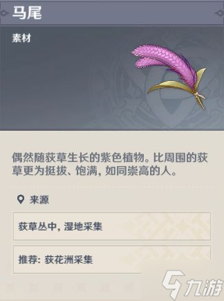 《原神》马尾作用介绍与采集路线分享