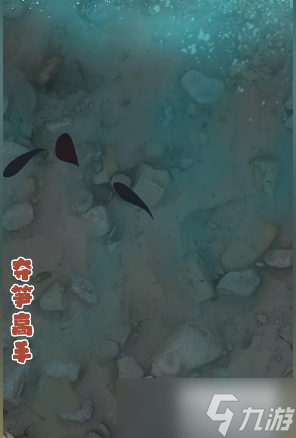 夺笋高手巨型阿魏无价之宝在哪